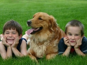 dog with two kids